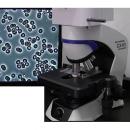Микроскоп OLYMPUS CX43 темнопольный